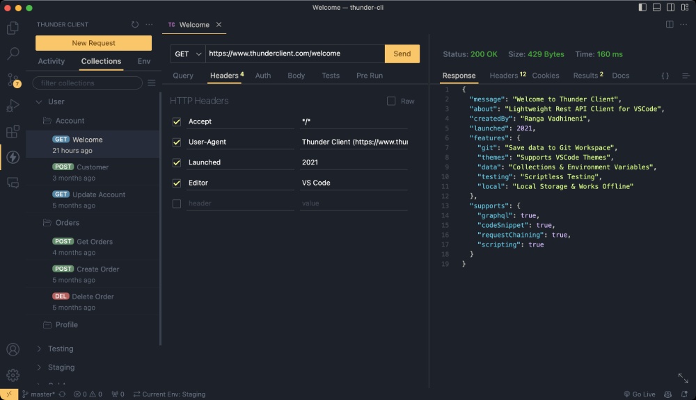 Thunder Client：VS Code用户的轻量选择