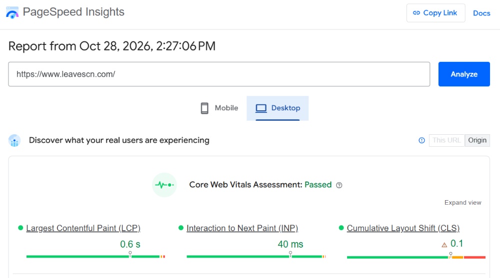 Google PageSpeed Insights 测试结果 Google PageSpeed Insights 测试结果